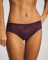 All-Over Lace Hipster